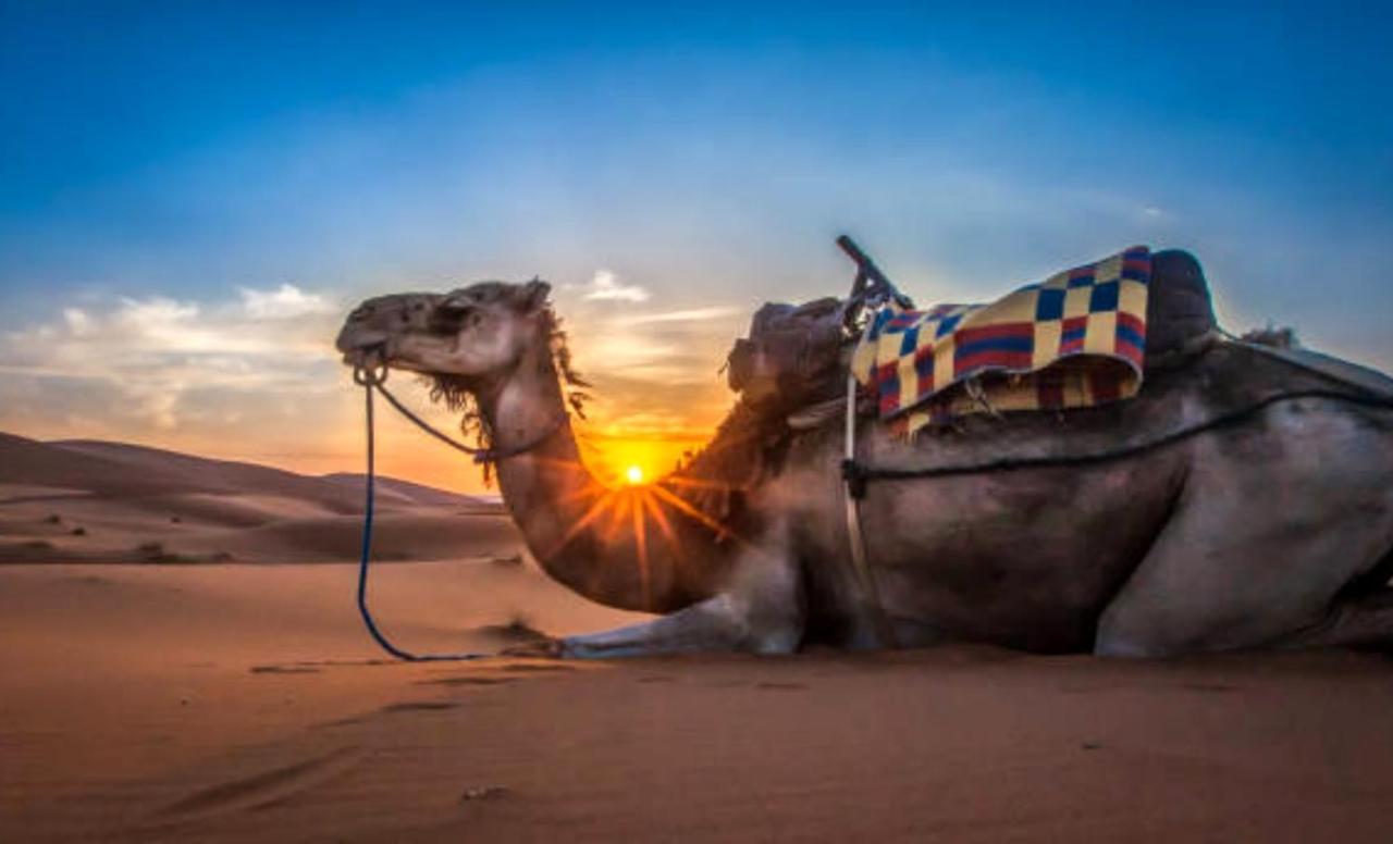 Holiday Desert Camp مرزوكة المظهر الخارجي الصورة